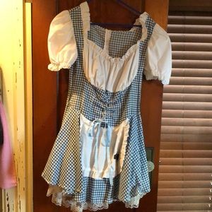 Wizard of oz costume dress